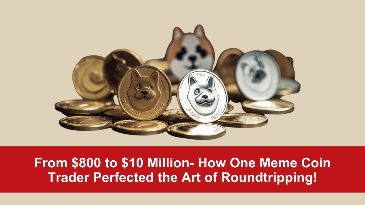 From $800 to $10 Million- How One Meme Coin Trader Perfected the Art of Roundtripping!